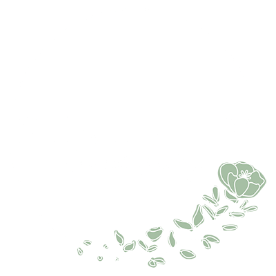 Serenity Financial Planning